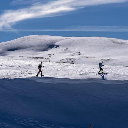 Studio Chaleureux Au Depart Des Sentiers Et Pistes De Ski Lajoux المظهر الخارجي الصورة