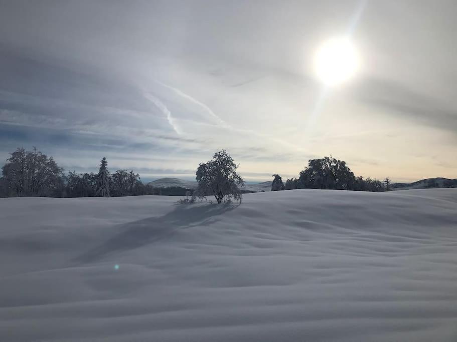 Studio Chaleureux Au Depart Des Sentiers Et Pistes De Ski Lajoux المظهر الخارجي الصورة