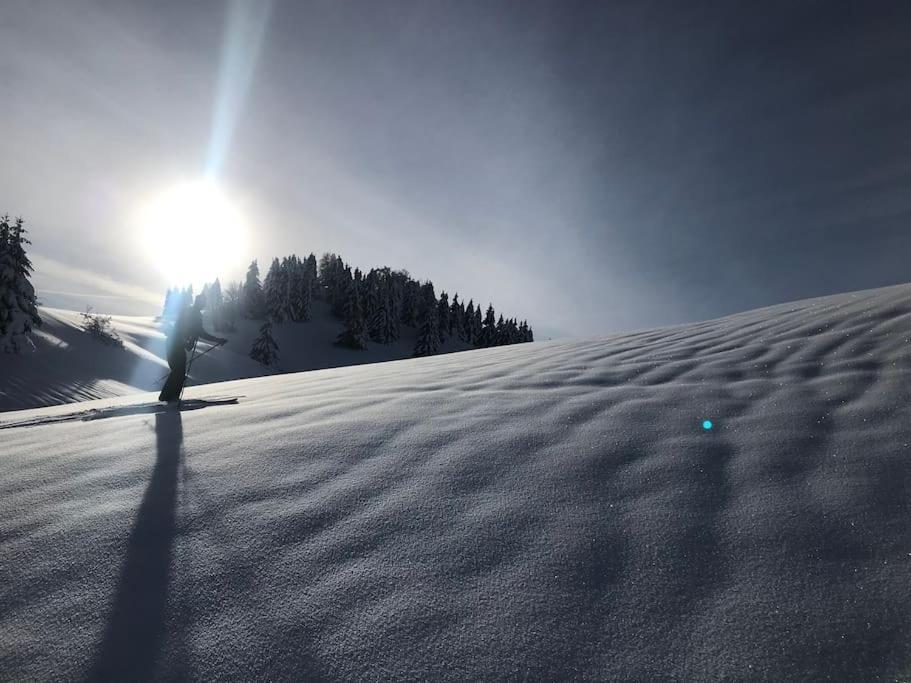 Studio Chaleureux Au Depart Des Sentiers Et Pistes De Ski Lajoux المظهر الخارجي الصورة