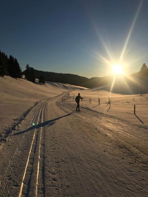 Studio Chaleureux Au Depart Des Sentiers Et Pistes De Ski Lajoux المظهر الخارجي الصورة
