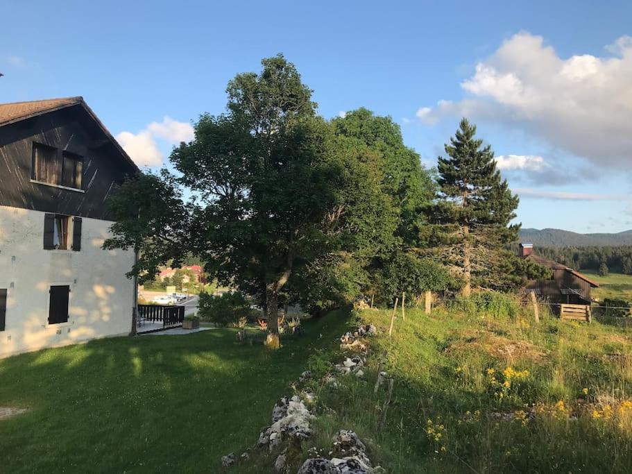 Studio Chaleureux Au Depart Des Sentiers Et Pistes De Ski Lajoux المظهر الخارجي الصورة